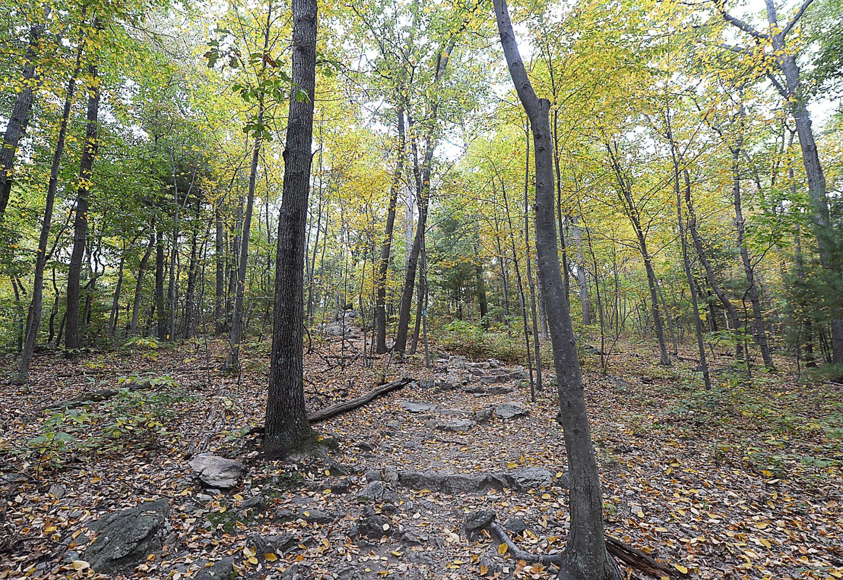 2. Pole Steeple Trail